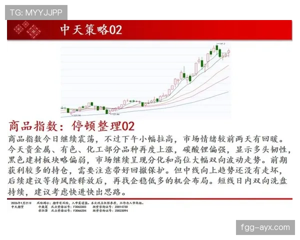 阿尔卡塞尔状态回暖,锋线价值飙升引转会市场瞩目 阿尔卡塞尔状态回暖,锋线价值飙升引转会市场瞩目